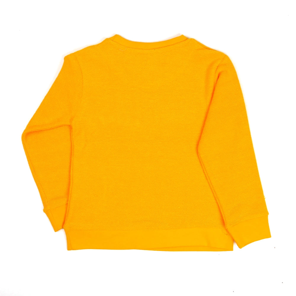 Infant Genius Sweatshirt For Boys - Citrus