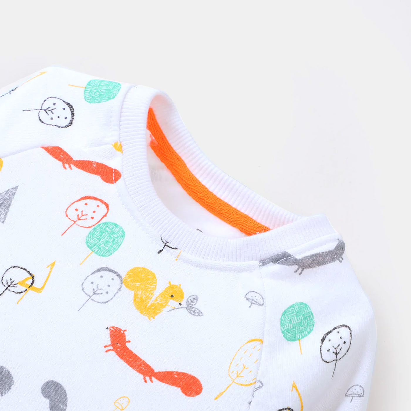 Boys Sweatshirt Squirrel - White