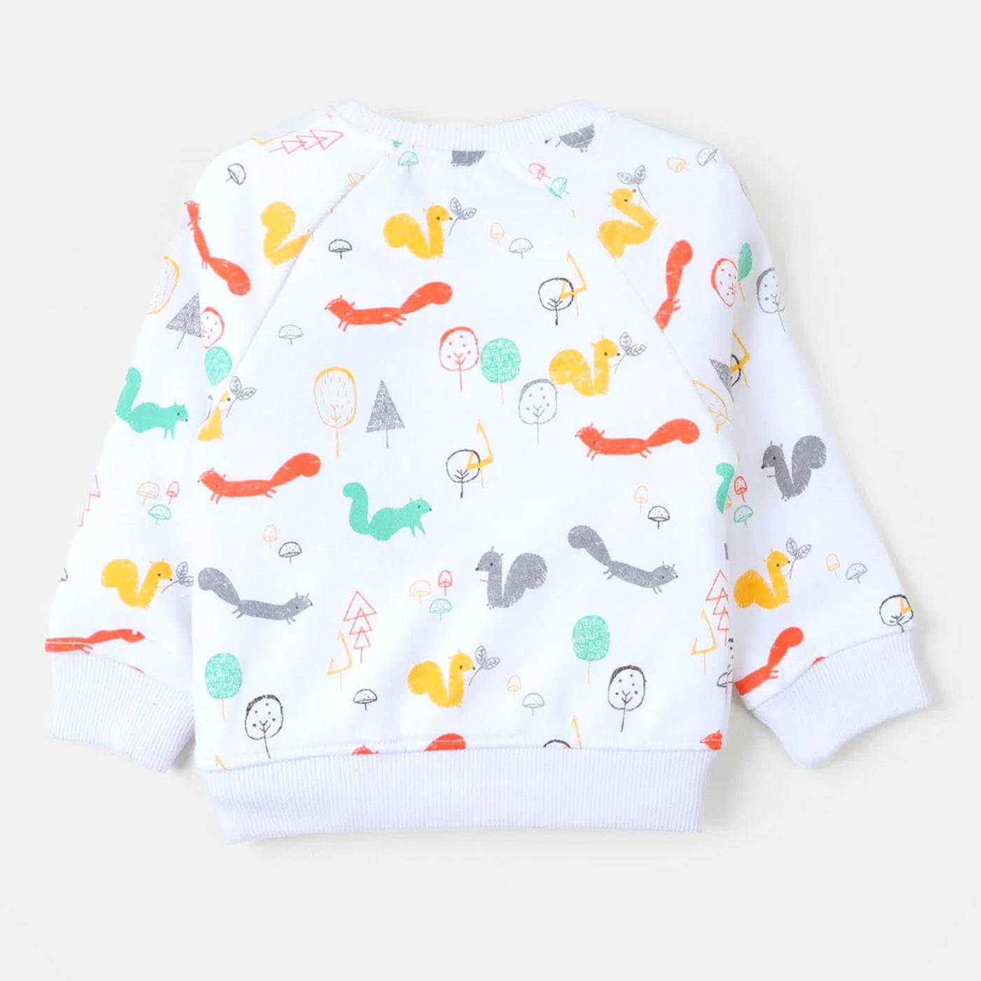 Infant Boys Sweatshirt Squirrel - White