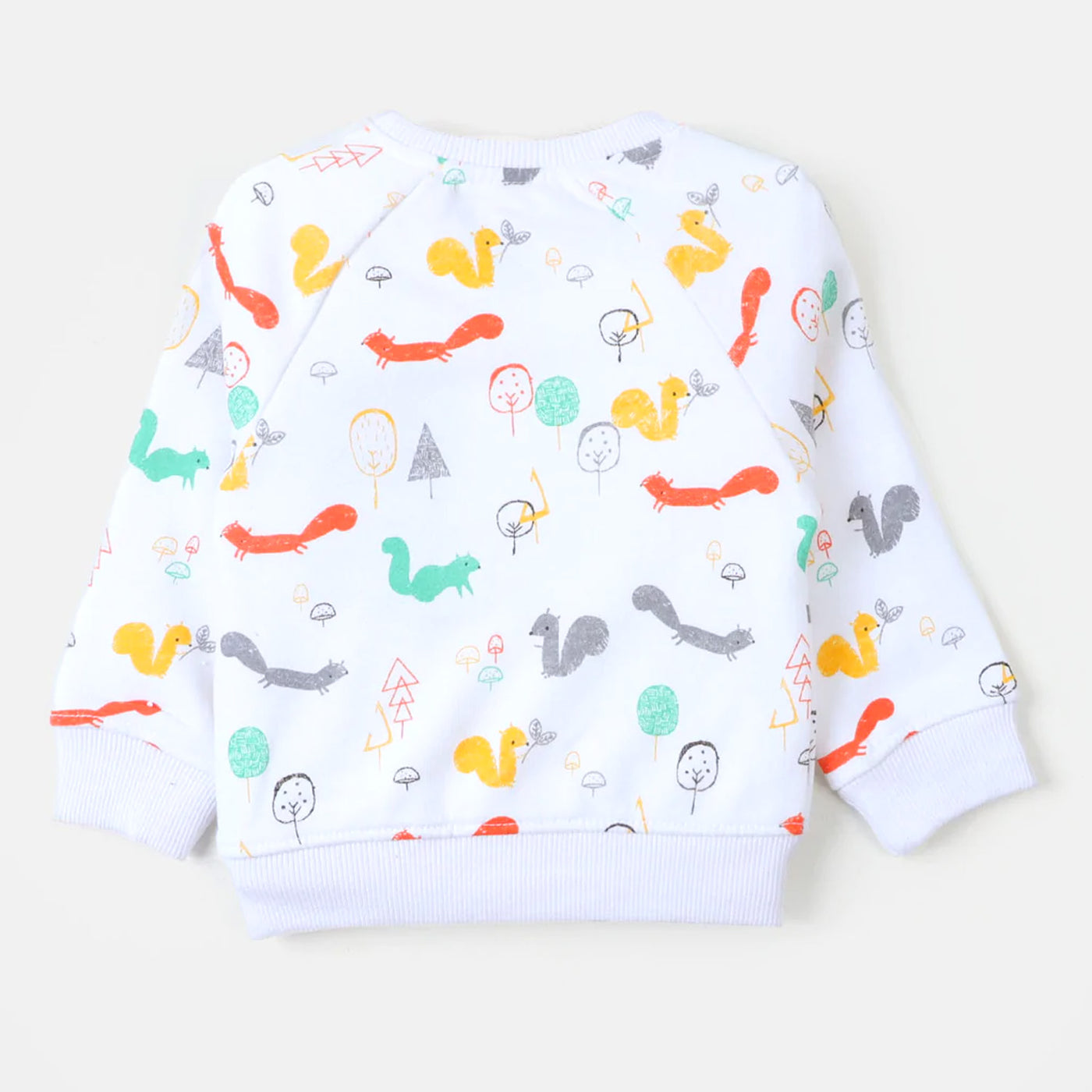 Boys Sweatshirt Squirrel - White