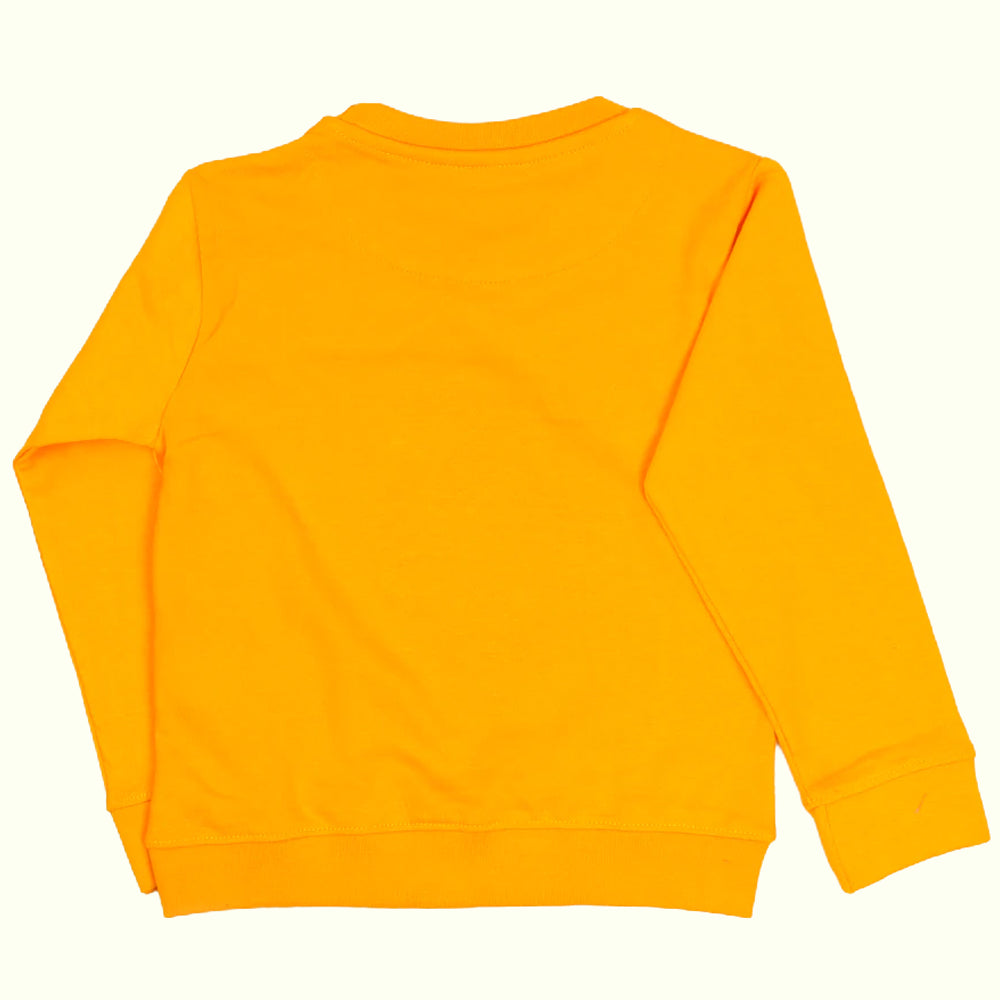 RawrSome Sweater For Boys -Citrus