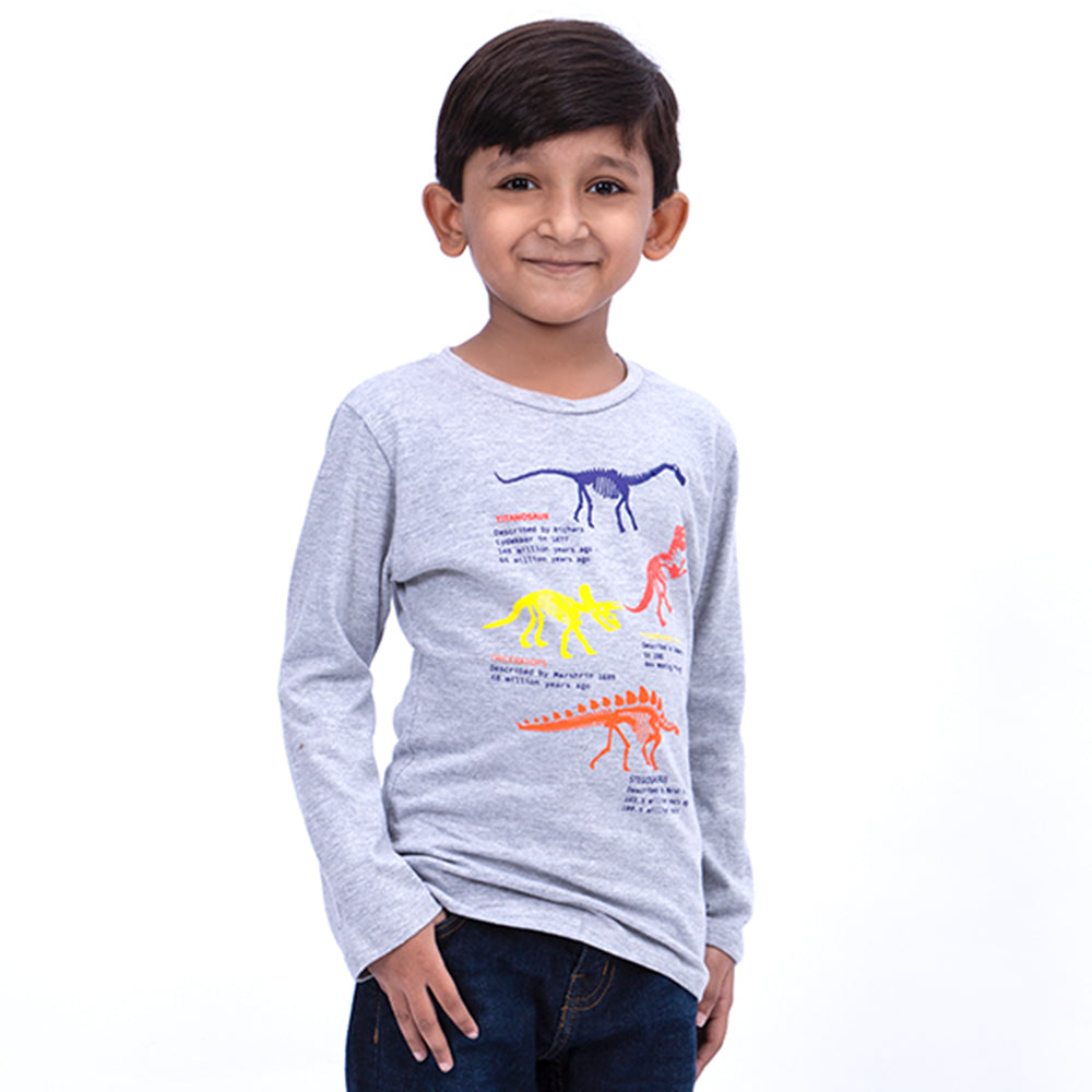 Infant Dinosaur T-Shirt For Boys - Grey