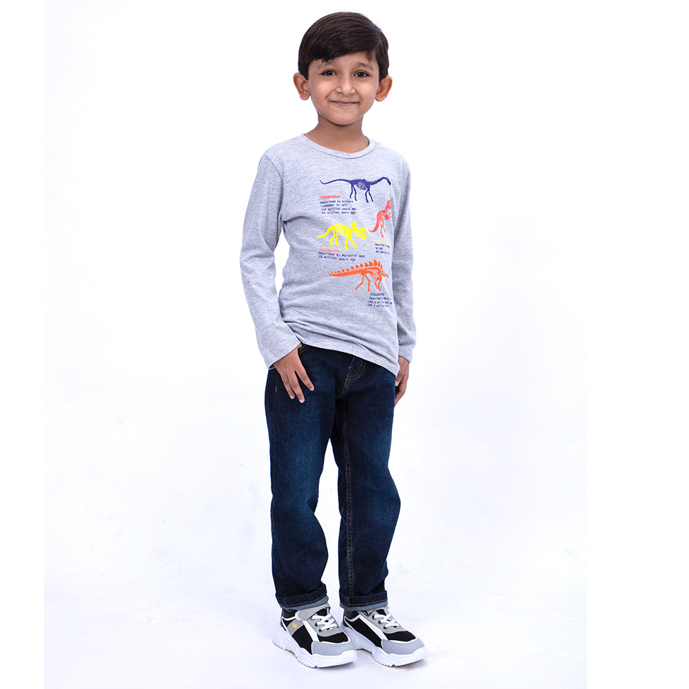 Infant Dinosaur T-Shirt For Boys - Grey