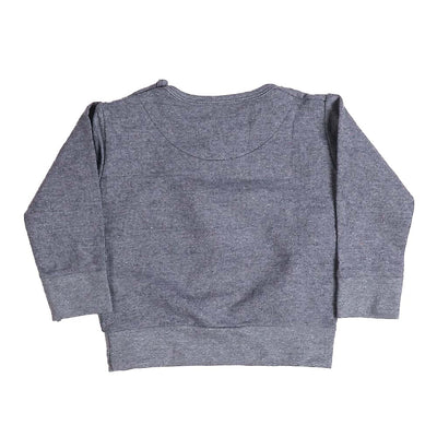 Infant Boys Sweatshirt Lion - Charcoal