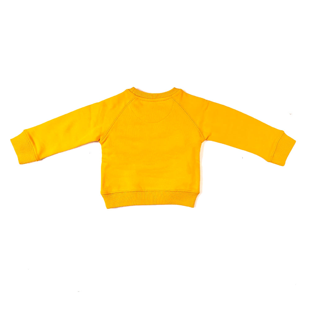 Boys 2 Pc Suits For Infants - Citrus