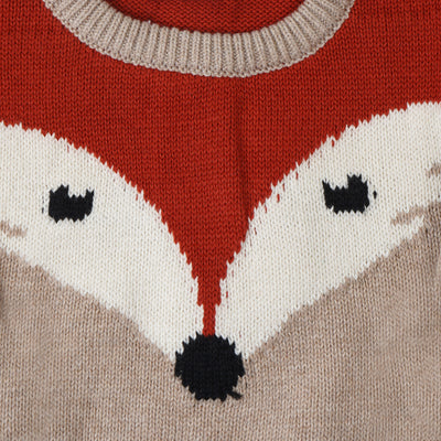 Infant Boys Sweater Swift Fox - BEIGE