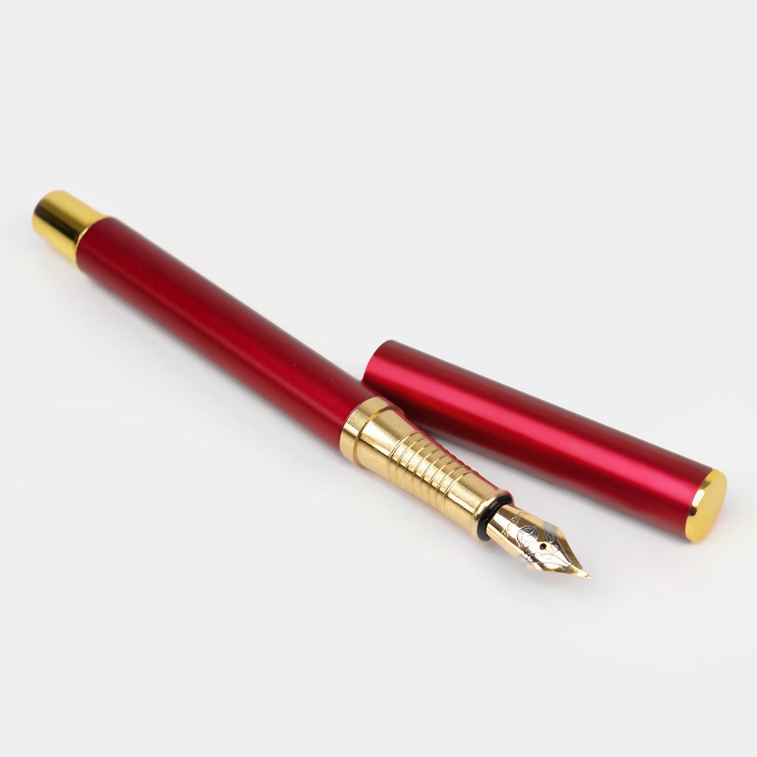Fancy Fountain Ink Pen With Plastic Case