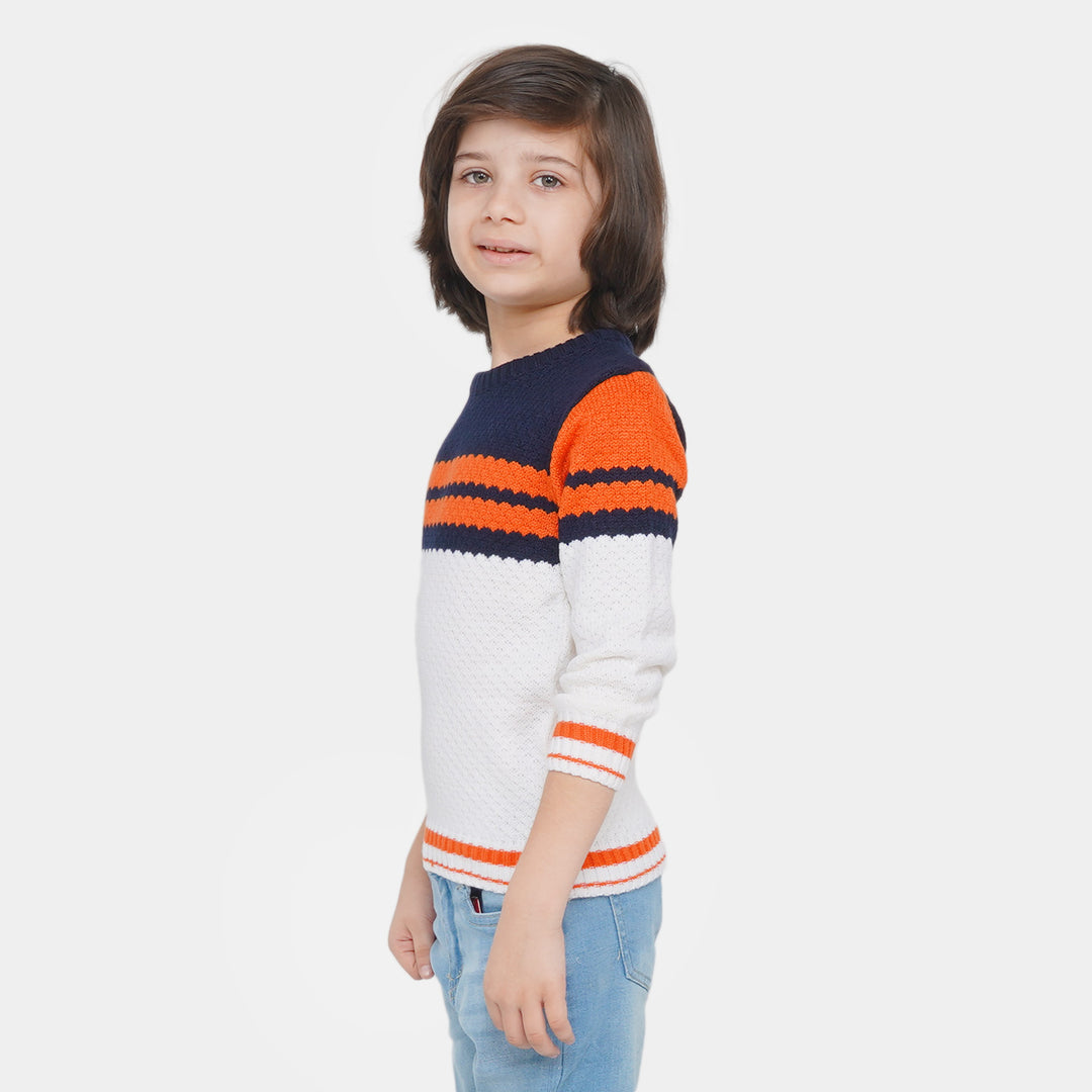 Boys Sweater Engineered - Multi