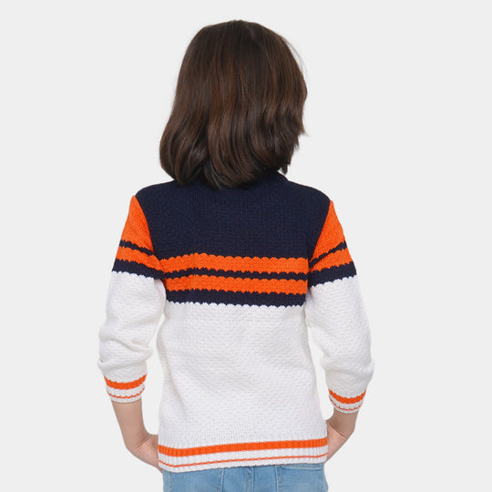 Boys Sweater Engineered - Multi