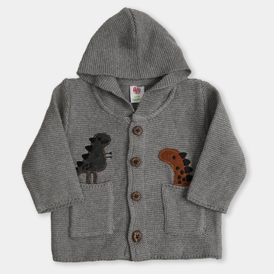 Infant Boys Sweater Dino - H.grey