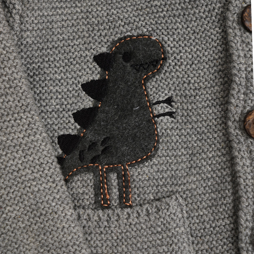 Infant Boys Sweater Dino - H.grey