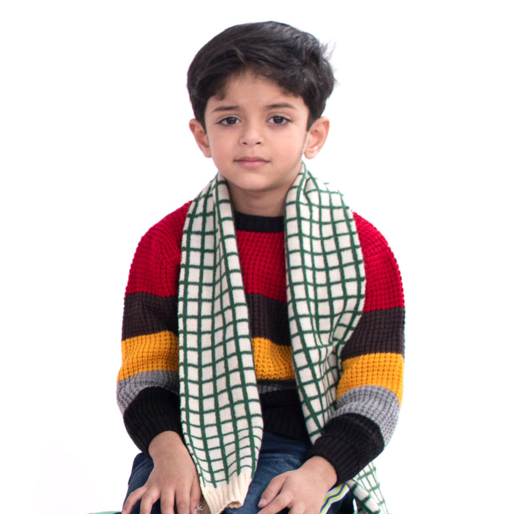 Stripe Sweater For Boys - Yarn Dyed (BS-23)