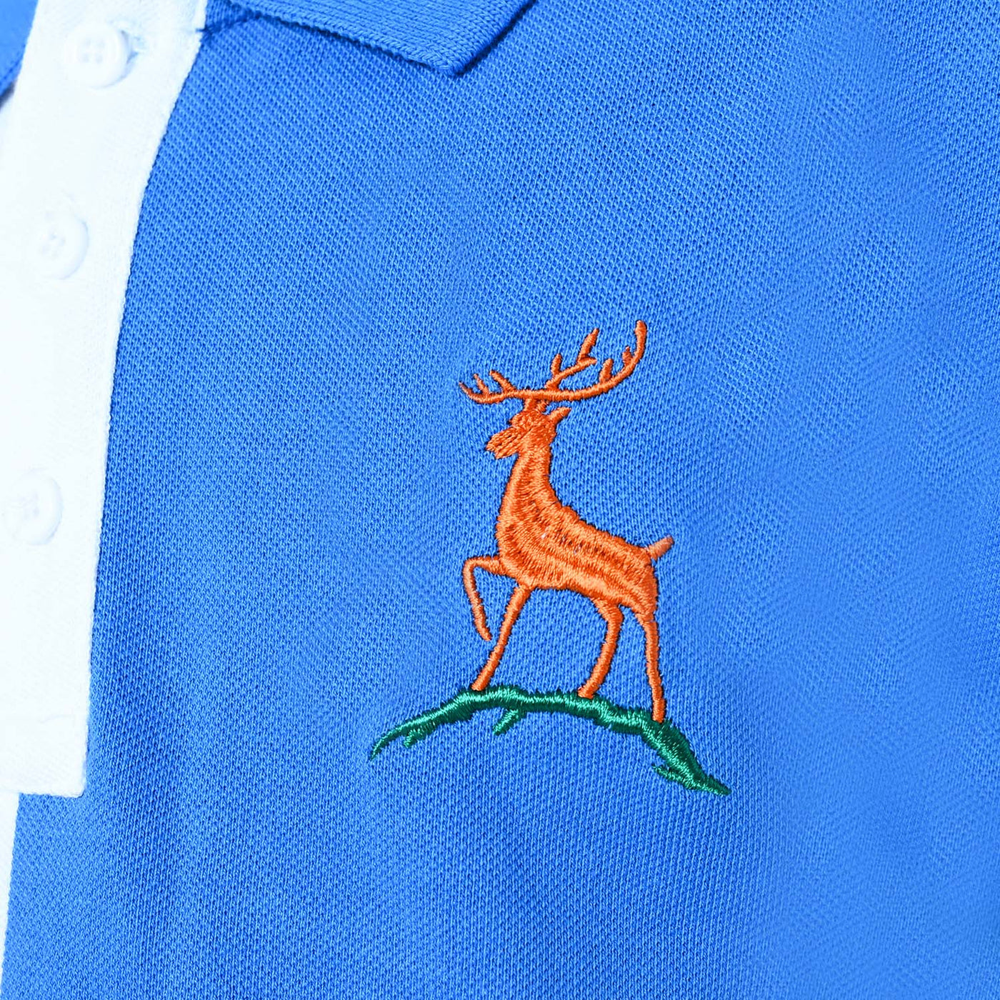 Boys Polo Number 3 |Sharp Green