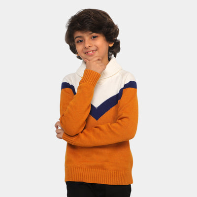 Stylish Boys Sweater - Brown/White