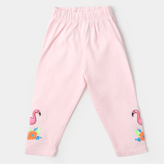 Infant Girls Embroidered Tights Flamingo - Mary Rose