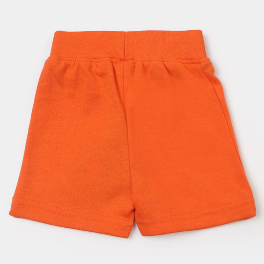 Infant Boys Knitted Short Car - Carrot