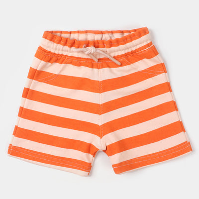 Infant Boys Knitted Short Dino Explore - Scallop