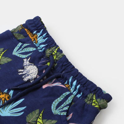 Infant Boys Knitted Short Tropical Dino - Navy Blue