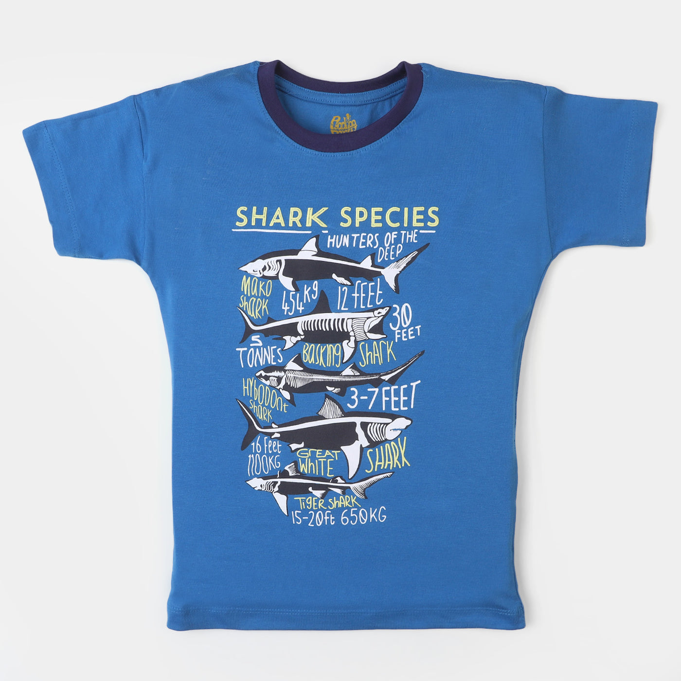 Boys Cotton T-Shirt Shark | Blue