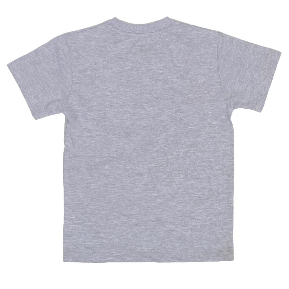 Boys T-Shirt H/S Super Character- Grey