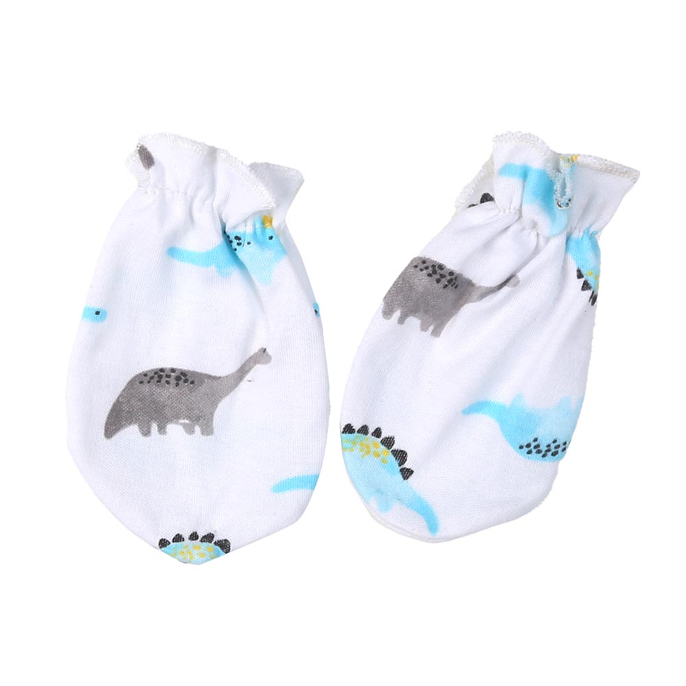 Infant Boys Set 5Pc Dino - B.White