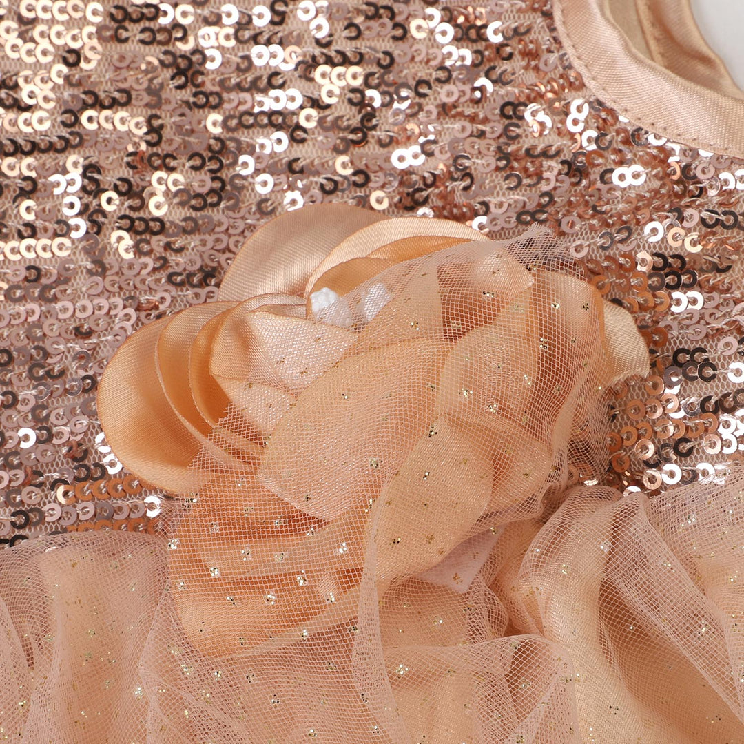 Infant Girls Net Fancy Frock Glow - Fawn