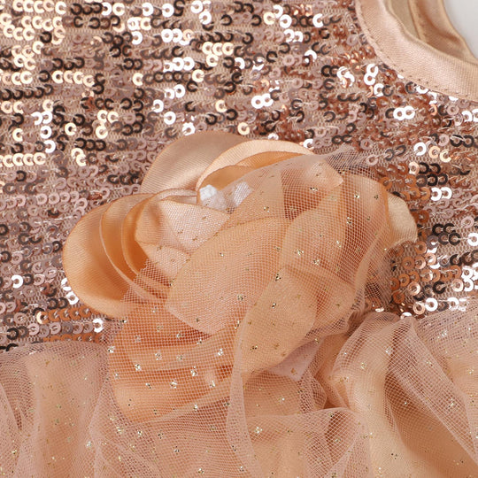 Infant Girls Net Fancy Frock Glow - Fawn