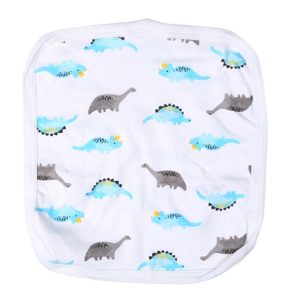 Infant Boys Set 6Pc Dino - B.White