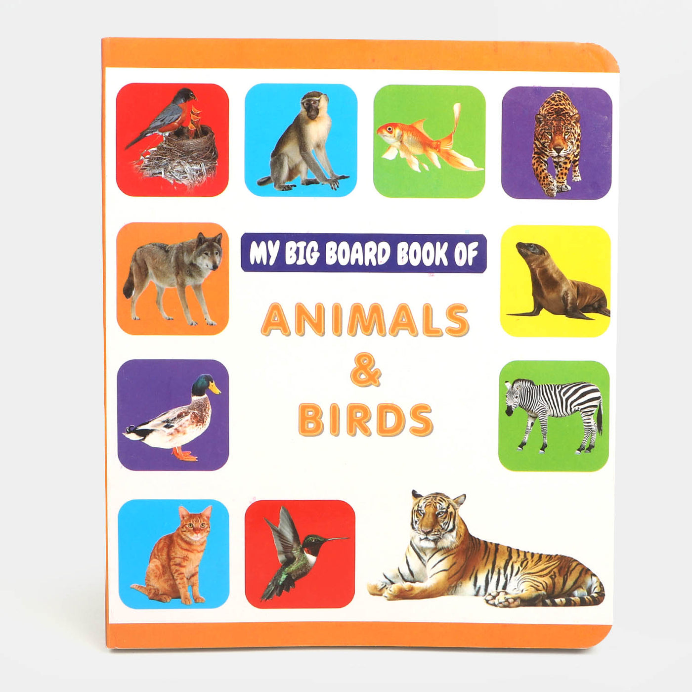 My Big Board Book of Animals & Birds