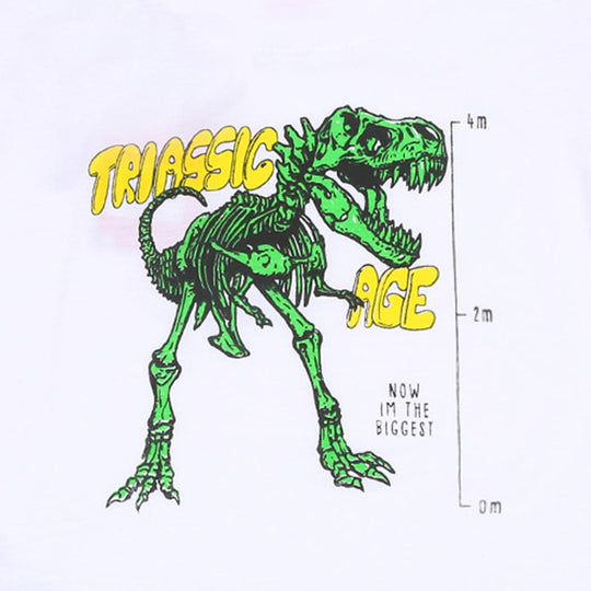 Boys T-shirt Triassic Age - B.White