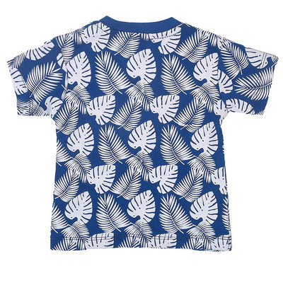 Boys T-Shirts H/S Paradise - Blue Wing