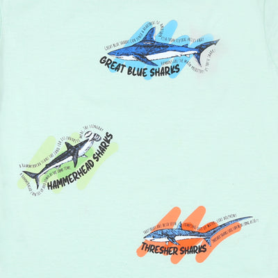 Boys T-shirt Sharks - Light Blue