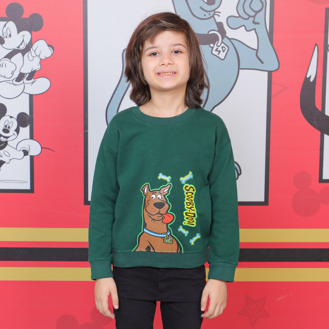 Boys Sweatshirt Character- Green