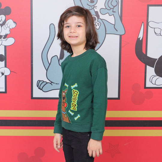 Boys Sweatshirt Character- Green