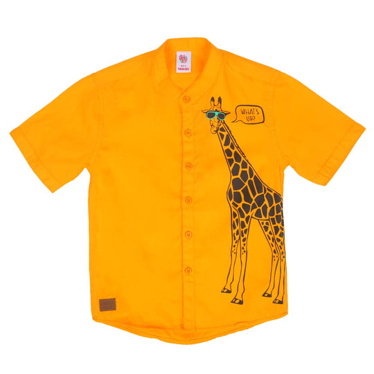 Infant Boys Casual Shirts - Citrus