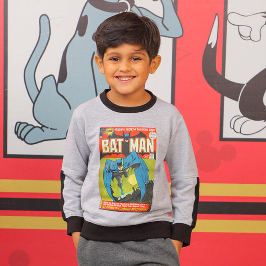 Boys Sweatshirt Cartoon Character Grey Melan Price in Pakistan