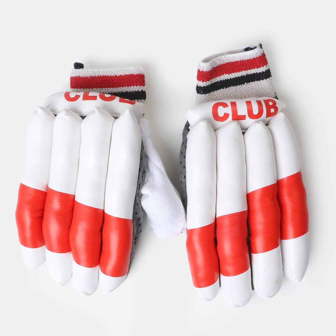 Cricket Batting Gloves