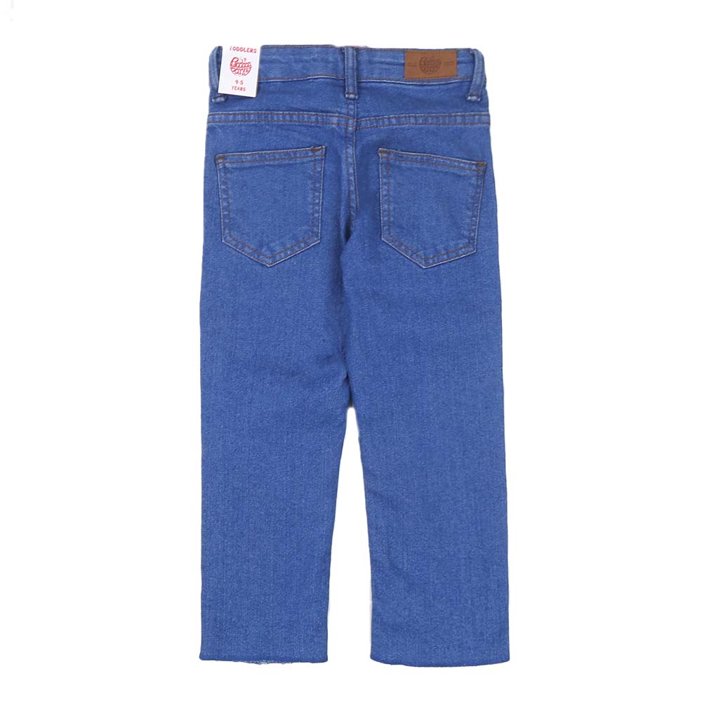 Boys Pant Denim  Emb - Blue