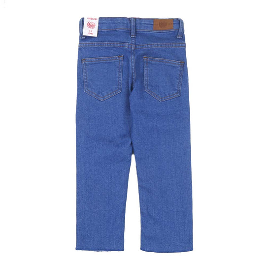 Boys Pant Denim  Emb - Blue