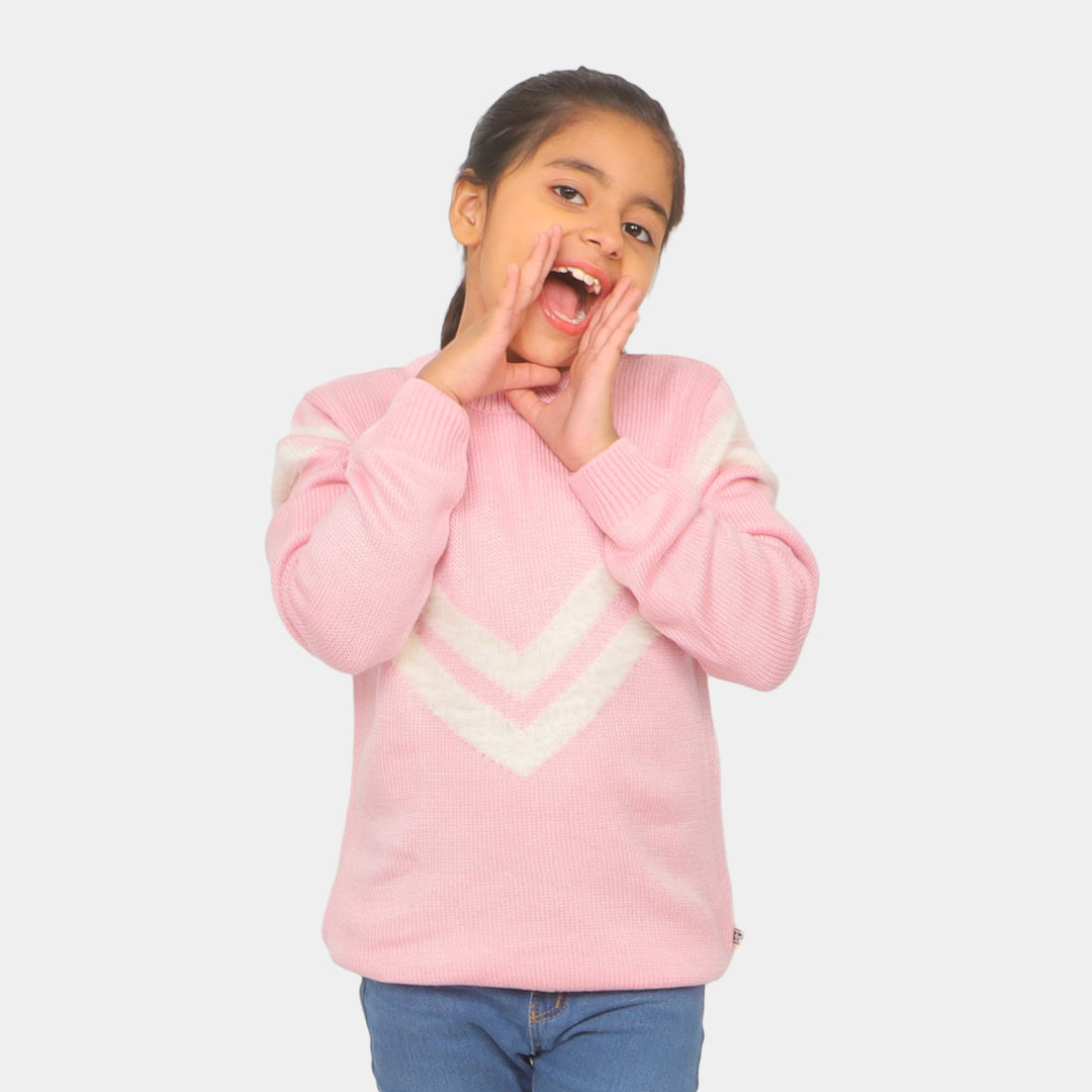 Girls Sweater Winter Wear - Pink