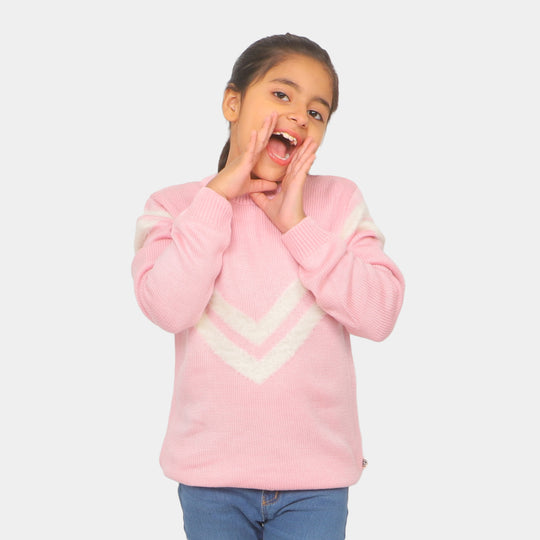 Girls Sweater Winter Wear - Pink