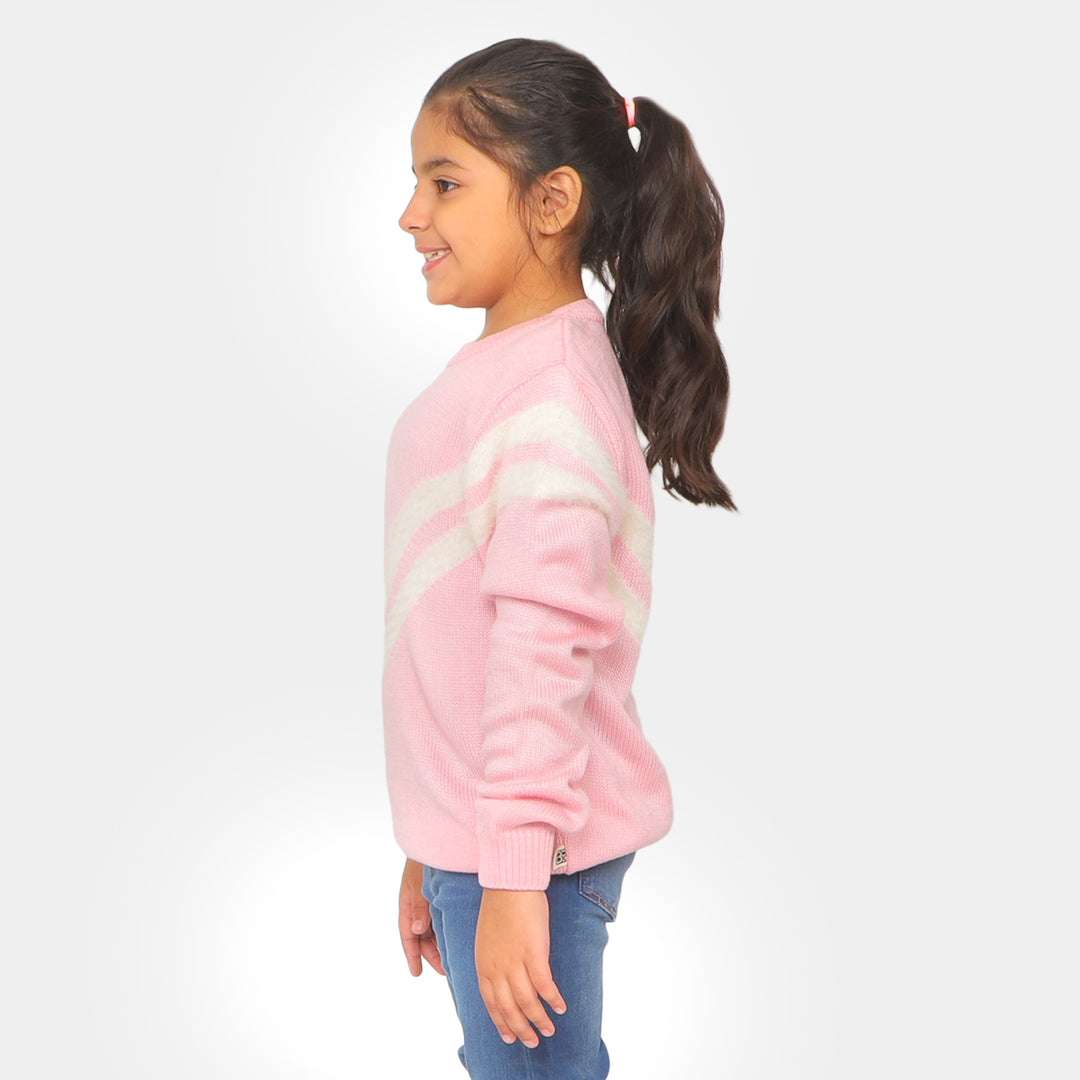 Girls Sweater Winter Wear - Pink