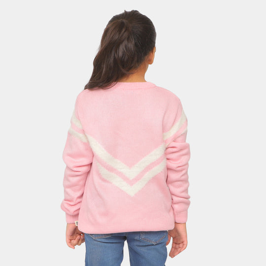 Girls Sweater Winter Wear - Pink