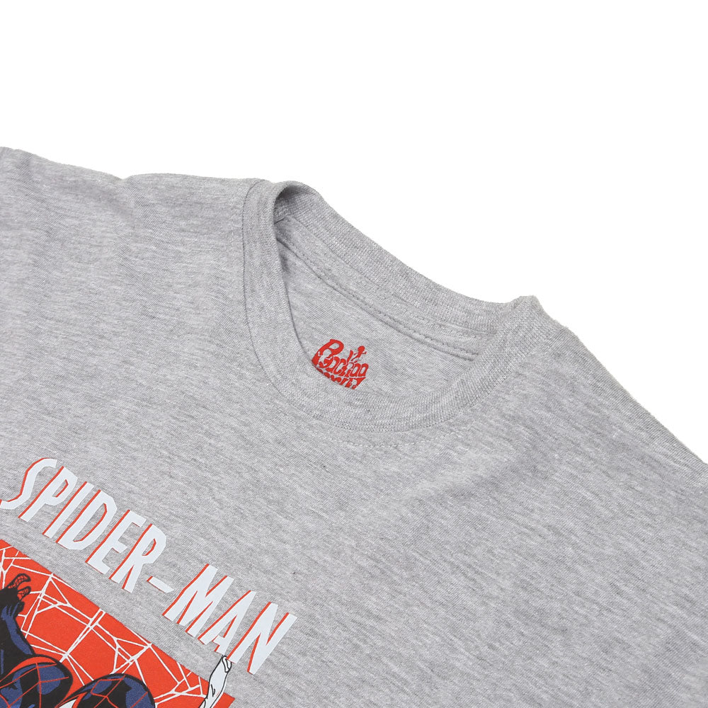 Boys character T-shirt-H.grey