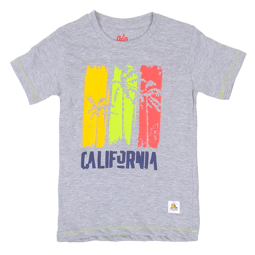 Boys T-Shirt H/S California - H.grey