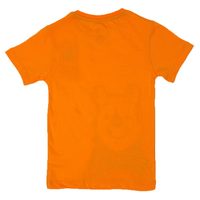 Boys 2 Pcs Suit Character- Orange