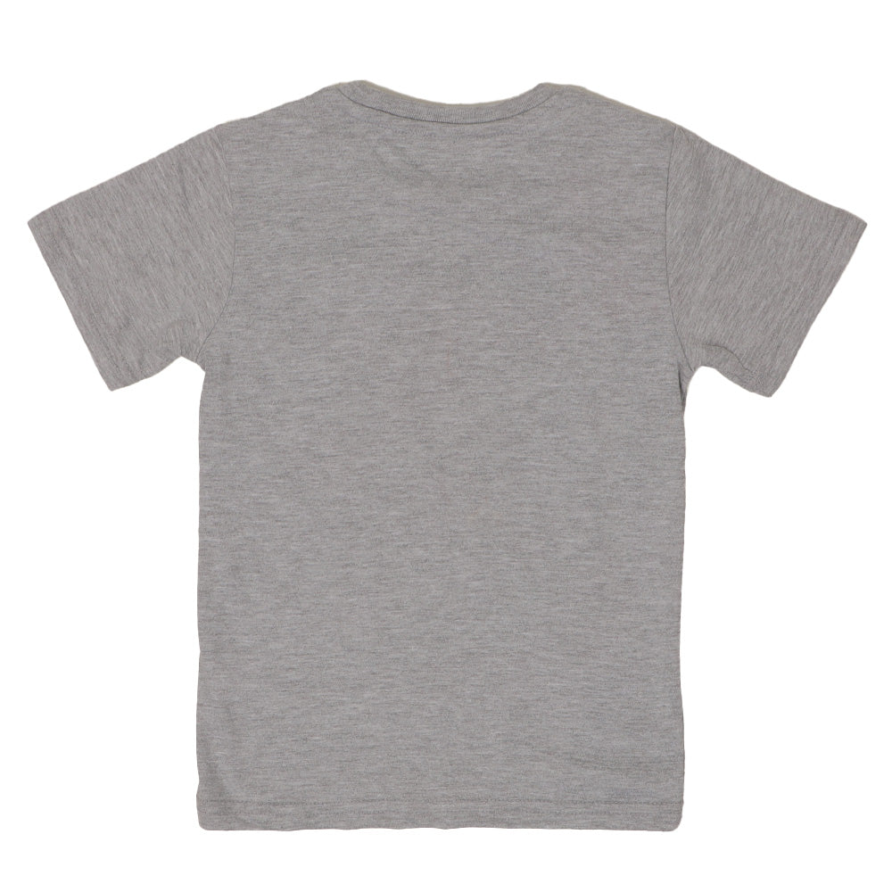 Boys Character T-shirt - Grey
