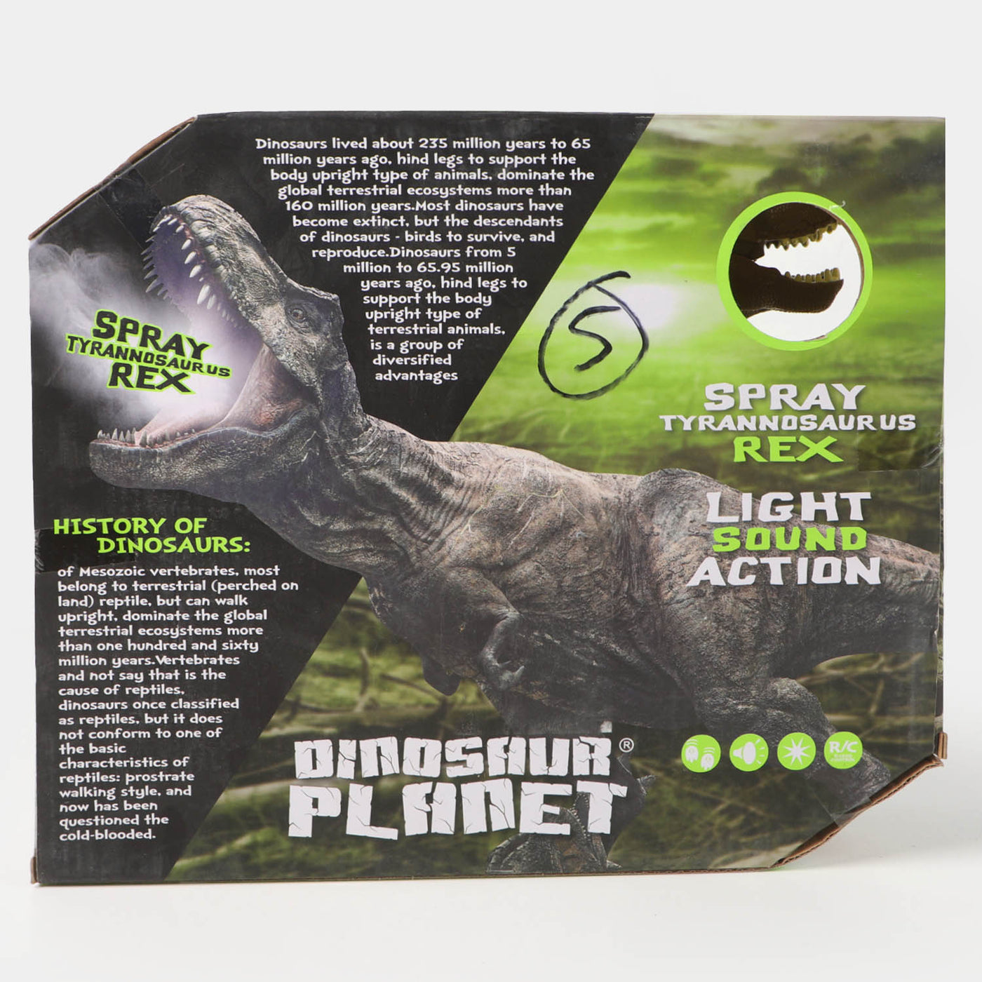 Remote Control Dinosaur Toy with Walking, Simulated Roaring