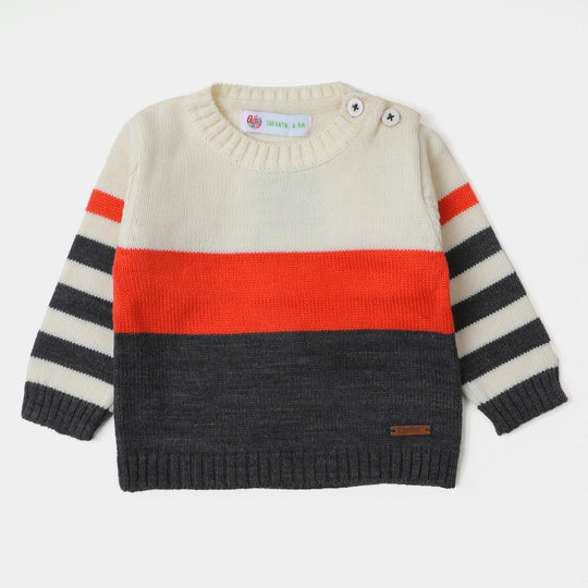 infant Boys Sweater - MIX