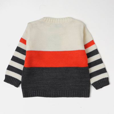 infant Boys Sweater - MIX